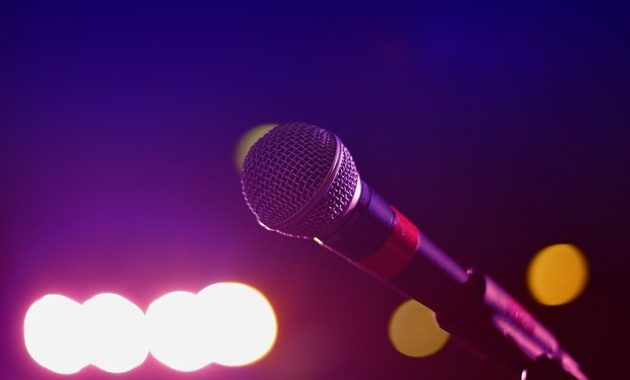 Mic Karaoke Wireless Mampu Menghasilkan Suara Jernih